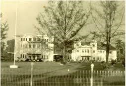 Istana Arau Tahun 1940